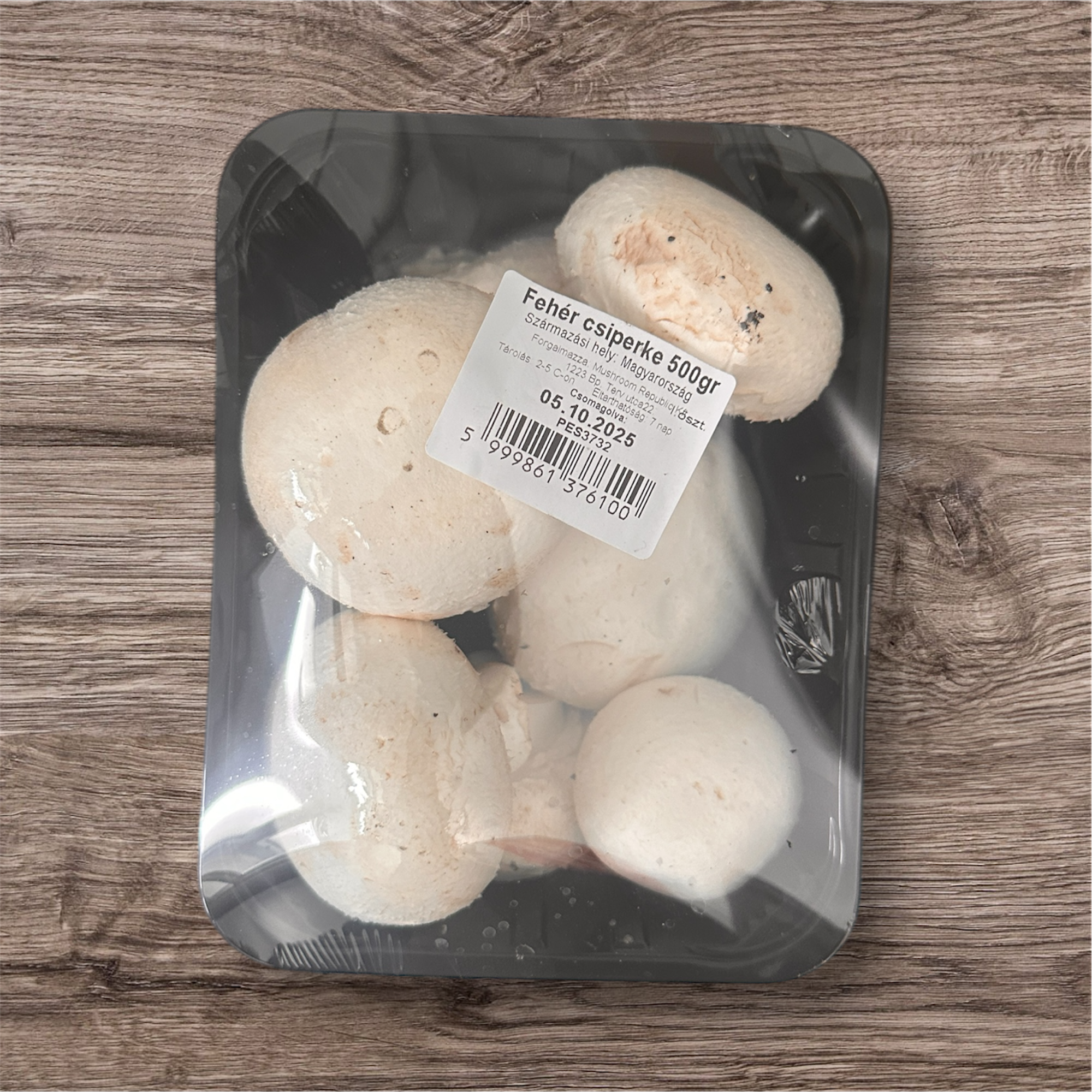 Photoroom_20251006_160654